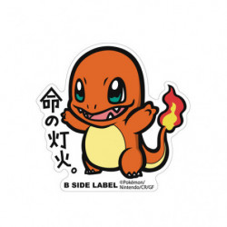 Sticker Charmander Big Pokémon B-SIDE LABEL