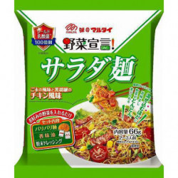 Instant Noodles Chicken Vegetables Salada Ramen Marutai