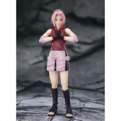 Figure Sakura Inherited From Master Naruto