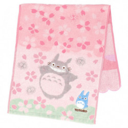 Face Towel Hanarashi My Neighbor Totoro