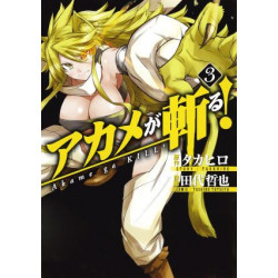 Manga Akame Ga Kill Vol. 03