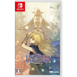 Game Record of Lodoss War Deedlit in Wonder Labyrinth Nintendo Switch