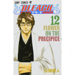 Manga BLEACH 12 Jump Comics Japanese Version