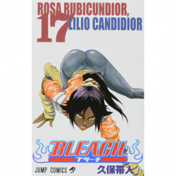 Manga BLEACH 17 Jump Comics Japanese Version