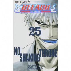 Manga BLEACH 25 Jump Comics Japanese Version