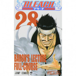 Manga BLEACH 28 Jump Comics Japanese Version