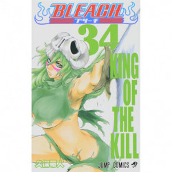 Manga BLEACH 34 Jump Comics Japanese Version