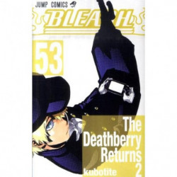 Manga BLEACH 53 Jump Comics Japanese Version