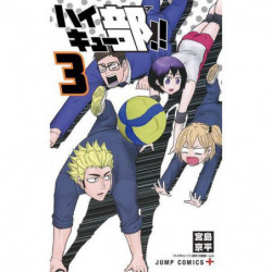 Manga Haikyu !! 03 Jump Comics Japanese Version