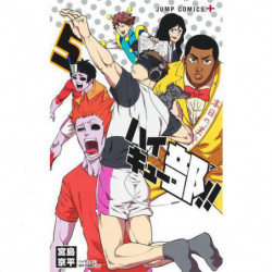 Manga Haikyu !! 05 Jump Comics Japanese Version