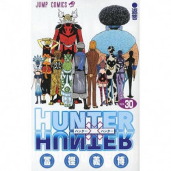 Manga HUNTER x HUNTER 30 Jump Comics Japanese Version
