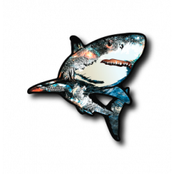 Sticker Orange Shark B-SIDE LABEL