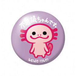 Petit Badge Fushigichandesu B-SIDE LABEL