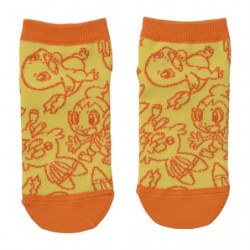 Socks Charmander, Chimchar & Scorbunny Pokémon Playroom