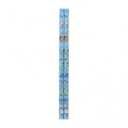 Pencils 2B Set Squirtle, Piplup & Sobble Pokémon Playroom