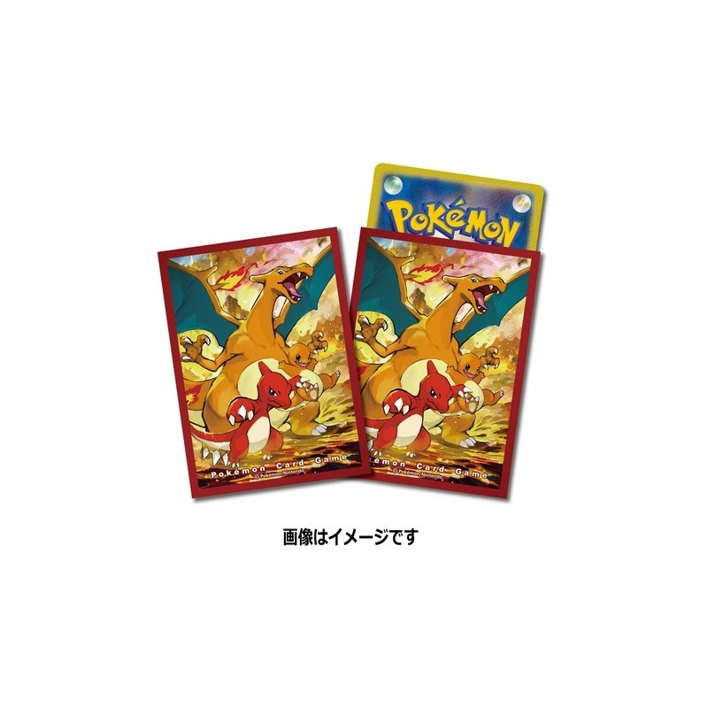 Sleeve Dracaufeu Charizard carte Pokemon deck shield card box booster display