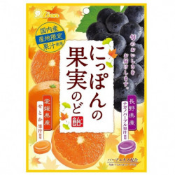 ライオン菓子にっぽんの果実のど飴（せとかとナガノパープル） 71g