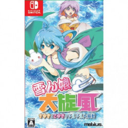 Game Yukinko Daisenpuu Sayuki to Koyuki no Hie-Hie Daisoudou Nintendo Switch