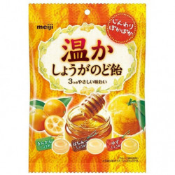 Throat Candy Warm Ginger Meiji