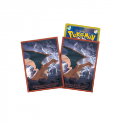 Protège-cartes Dracaufeu Volant Pokémon