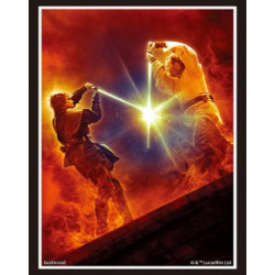 Protège-cartes Battle of Mustafar Vol.3481 Star Wars