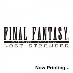 Manga Final Fantasy Lost Stranger Vol. 10