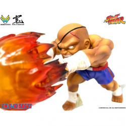 Figure Sagat T N C 10 Street Fighter