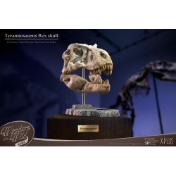 Figurine T Rex Head Skull