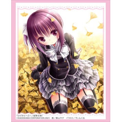 Card Sleeves Tomoka Minato Vol.3834 Ro-Kyu-Bu!