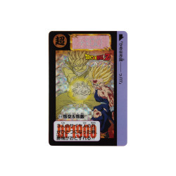 Bloc Acrylique Carddass Goku & Gohan 617 Dragon Ball
