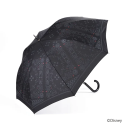 Umbrella Axel Kingdom Hearts
