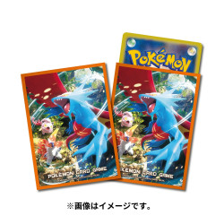 Protège-cartes Ancient Roar Pokémon Card Game