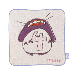 Mini Towel Totoro Birthday 4 My Neighbor Totoro
