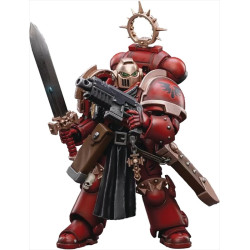 Figure Primaris Space Marines Blood Angels Bladeguard Veteran Warhammer 40K