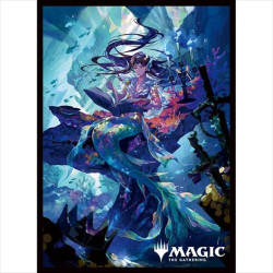 Card Sleeves Wilds of Eldraine Rhystic Study Magic The Gathering MTGS-274