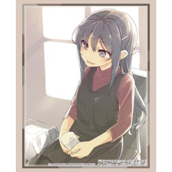Card Sleeves Mai Sakurajima Part.2 Vol.4113 Dengeki Bunko Seishun Buta Yarou