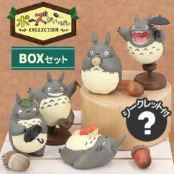 Figurines Box Collection Totoro 02 Full of Poses Mon voisin Totoro