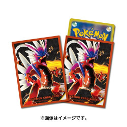 Protège-cartes Premium Gloss Koraidon Pokémon Card Game