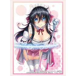 Card Sleeves Ako Tamaki Part.3 Vol.4171 Dengeki Bunko And You Thought There is Never a Girl Online?