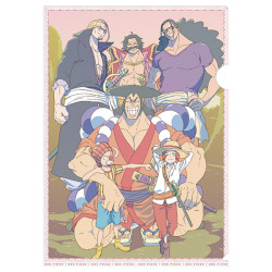 Clear Folder Roger Pirates ONE PIECE Mainichi ONE PIECE Illustraration Collection 