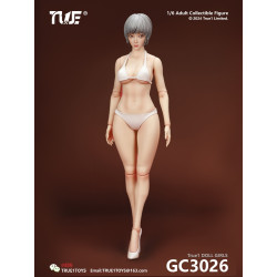 Figure Jointed Female Doll Basic Set Grey Hair Ver.