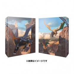 Card Collection File Charizard