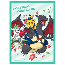 Protèges-cartes Pokemon Center Exclusive
